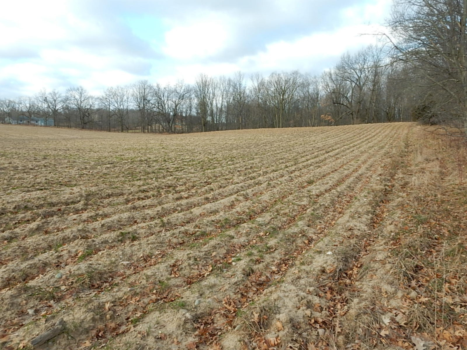 10023 Towner Road Portland, MI 48875 - Photo 12 of 18 DSCN3980