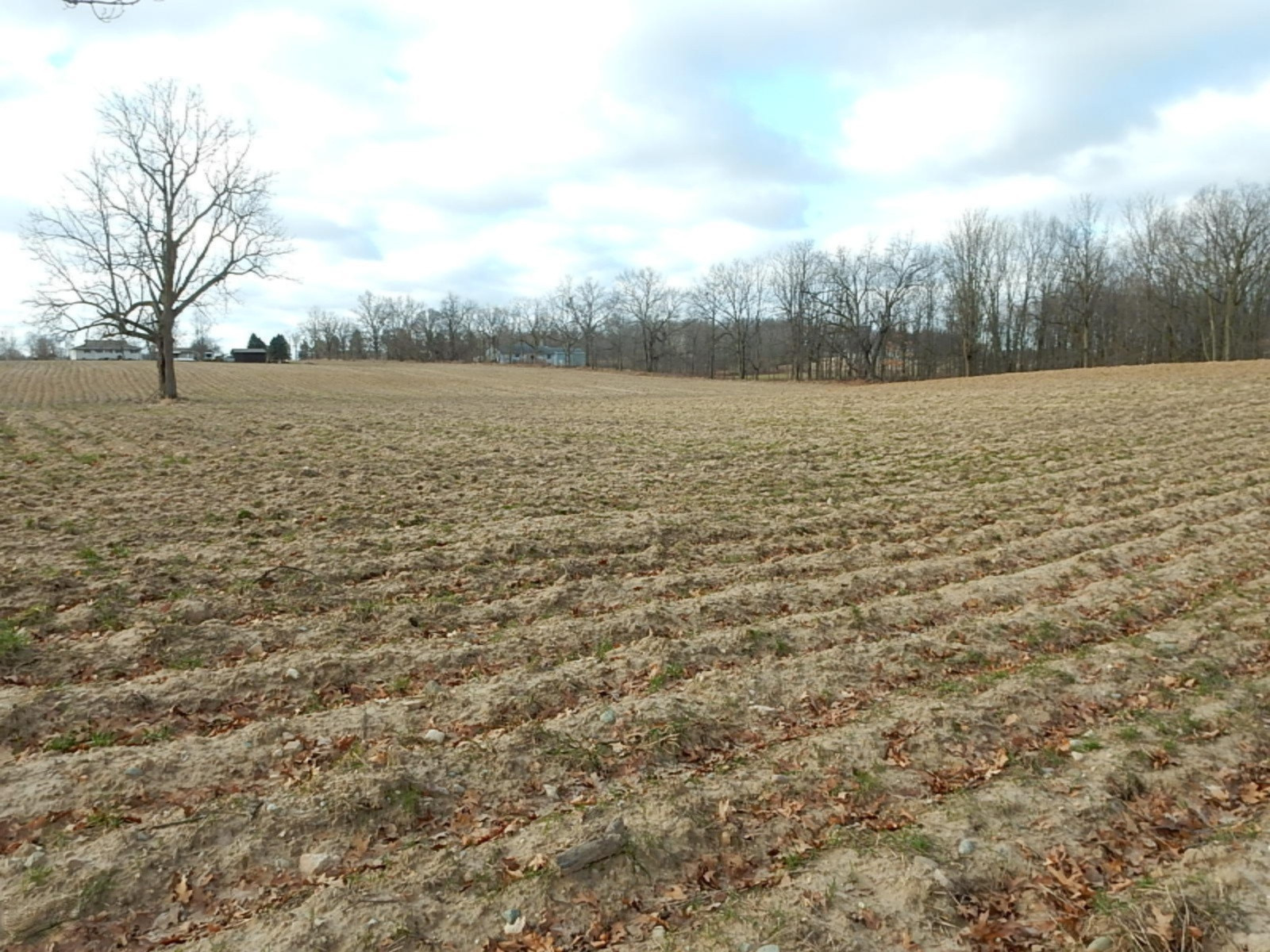 10023 Towner Road Portland, MI 48875 - Photo 13 of 18 DSCN3981