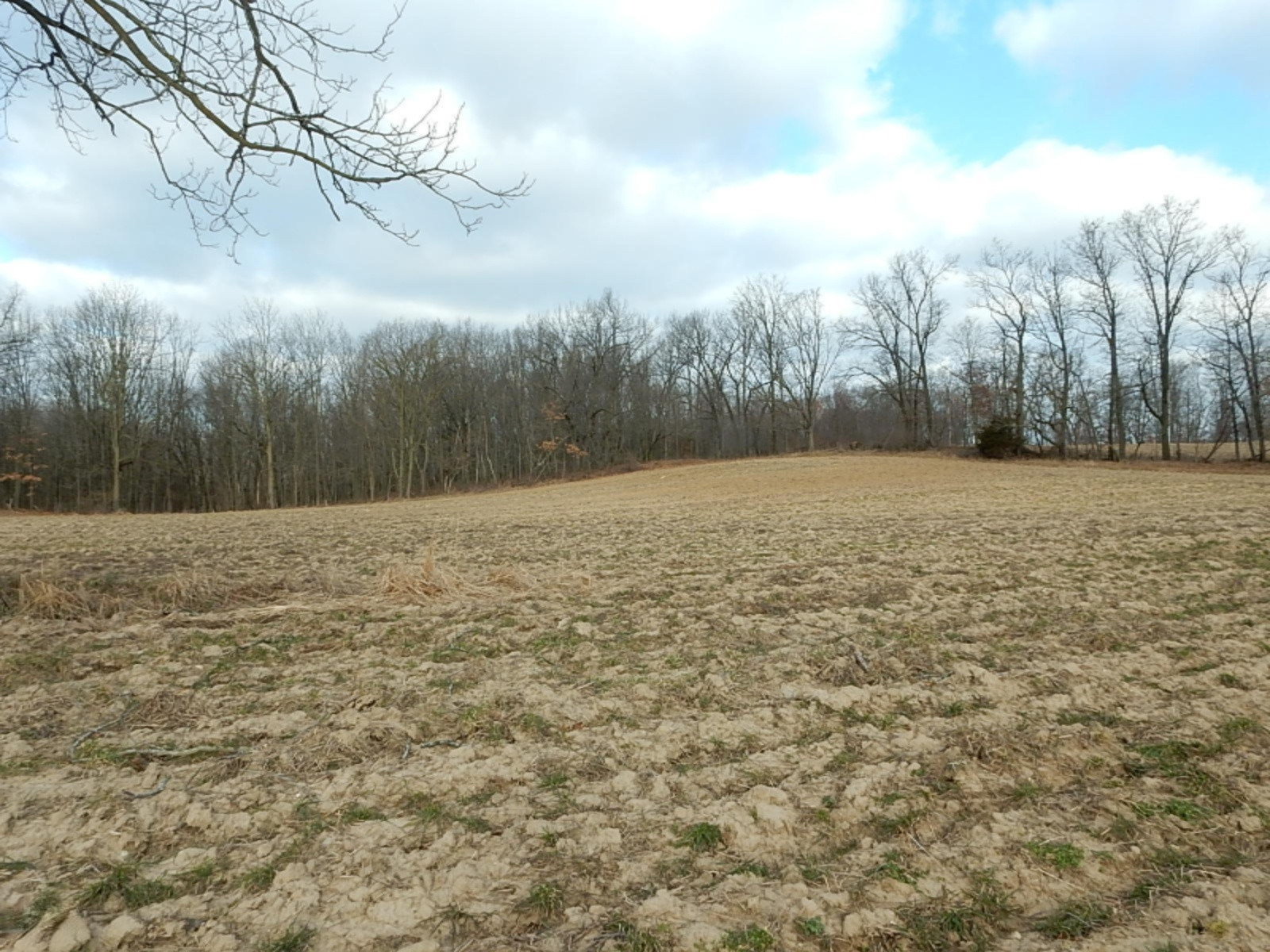 10023 Towner Road Portland, MI 48875 - Photo 14 of 18 DSCN3982