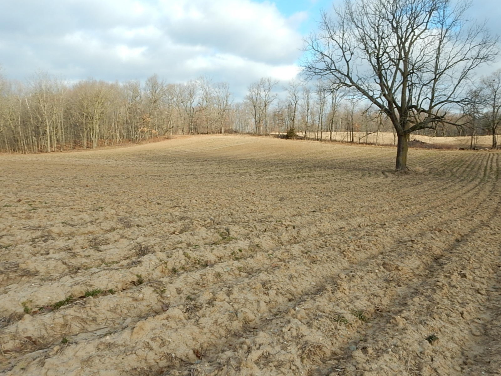 10023 Towner Road Portland, MI 48875 - Photo 15 of 18 DSCN3983