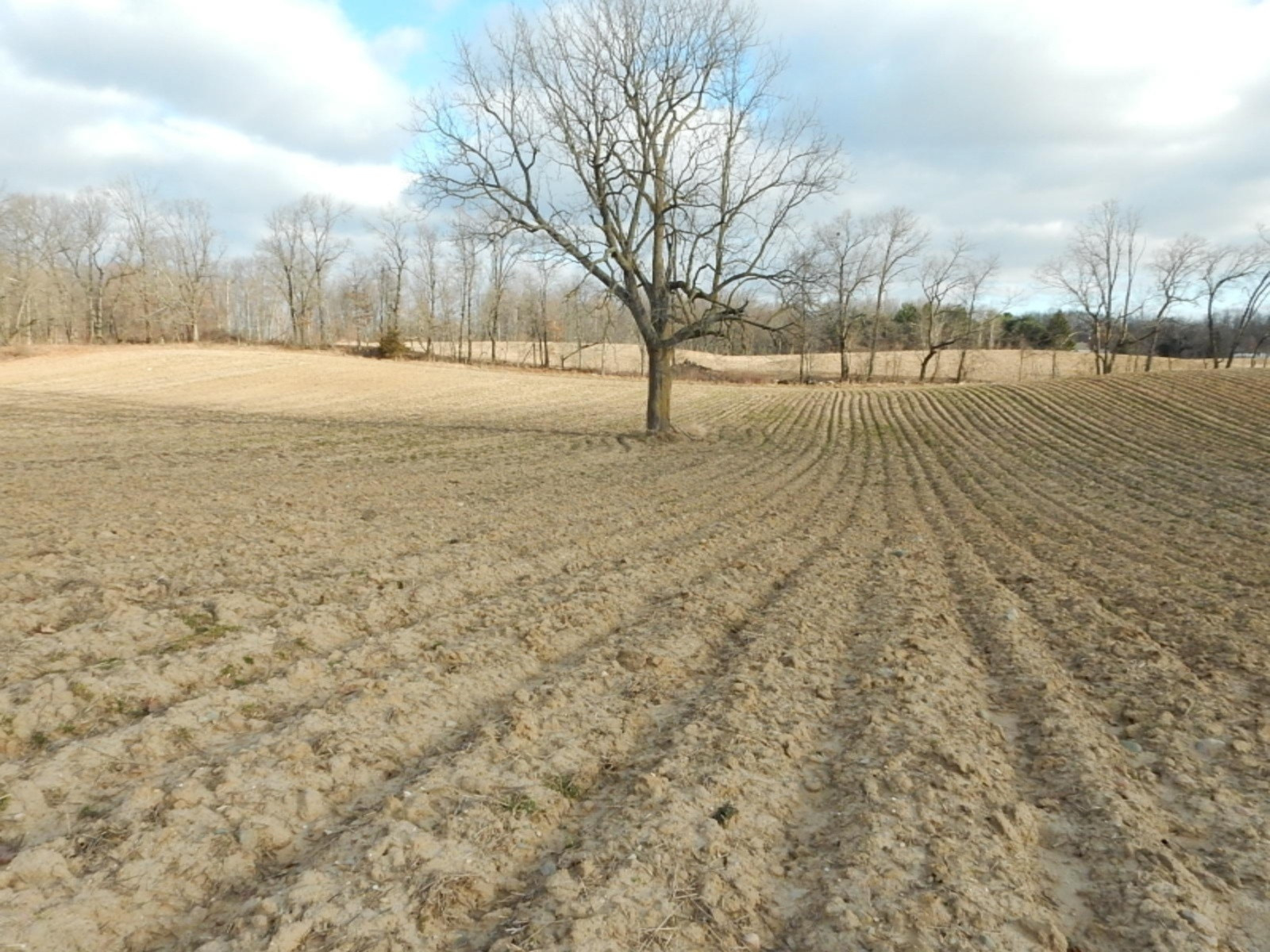 10023 Towner Road Portland, MI 48875 - Photo 16 of 18 DSCN3984