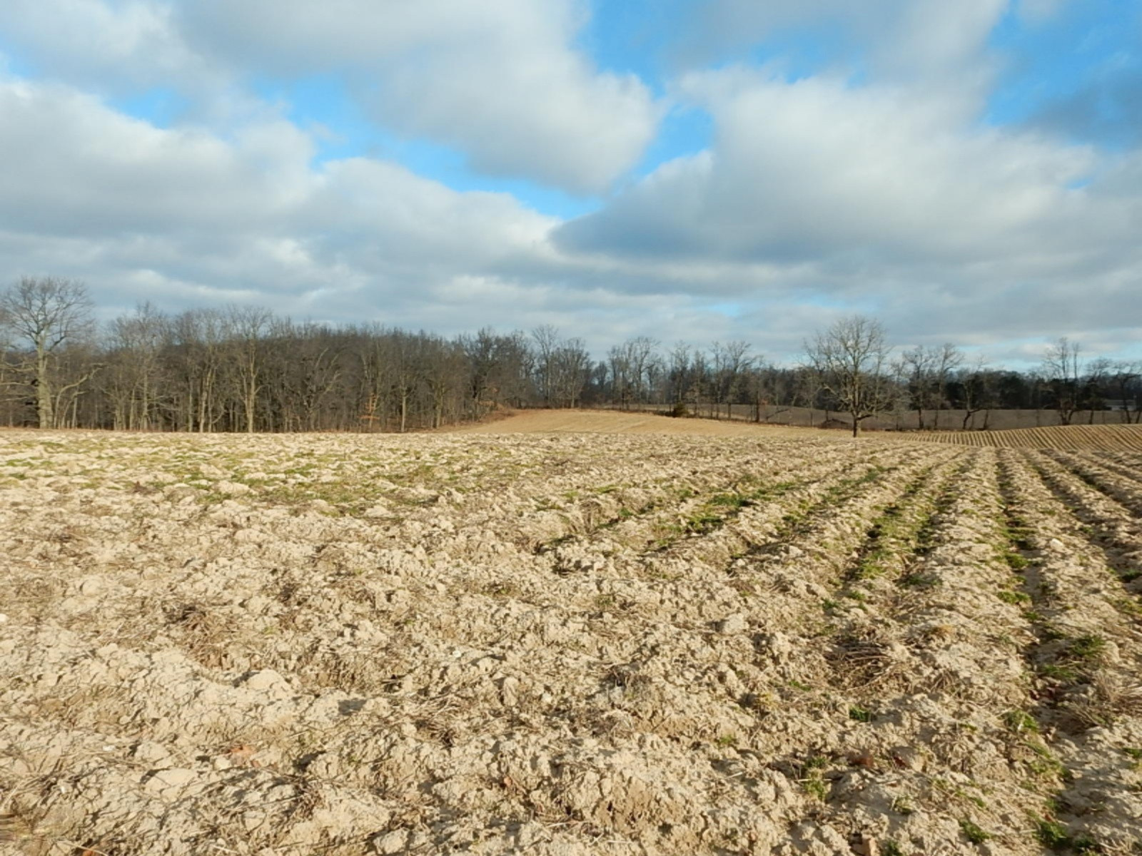 10023 Towner Road Portland, MI 48875 - Photo 17 of 18 DSCN3985