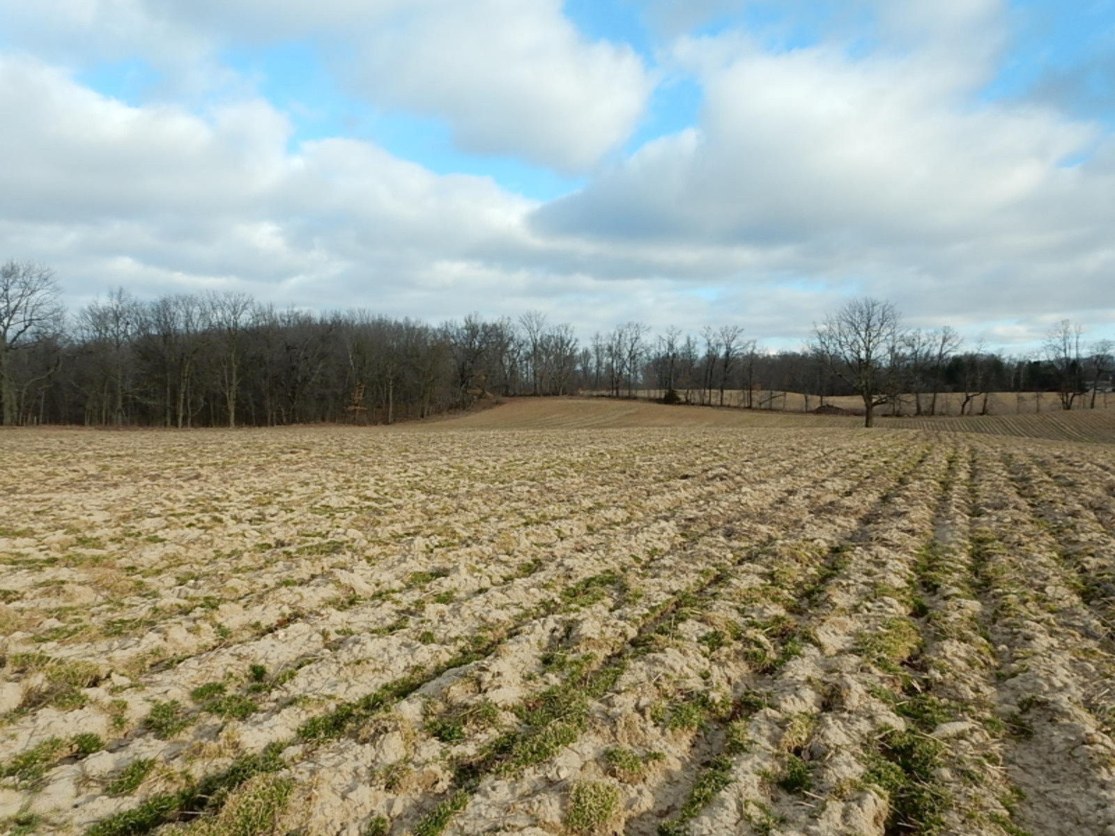 10023 Towner Road Portland, MI 48875 - Photo 18 of 18 DSCN3987