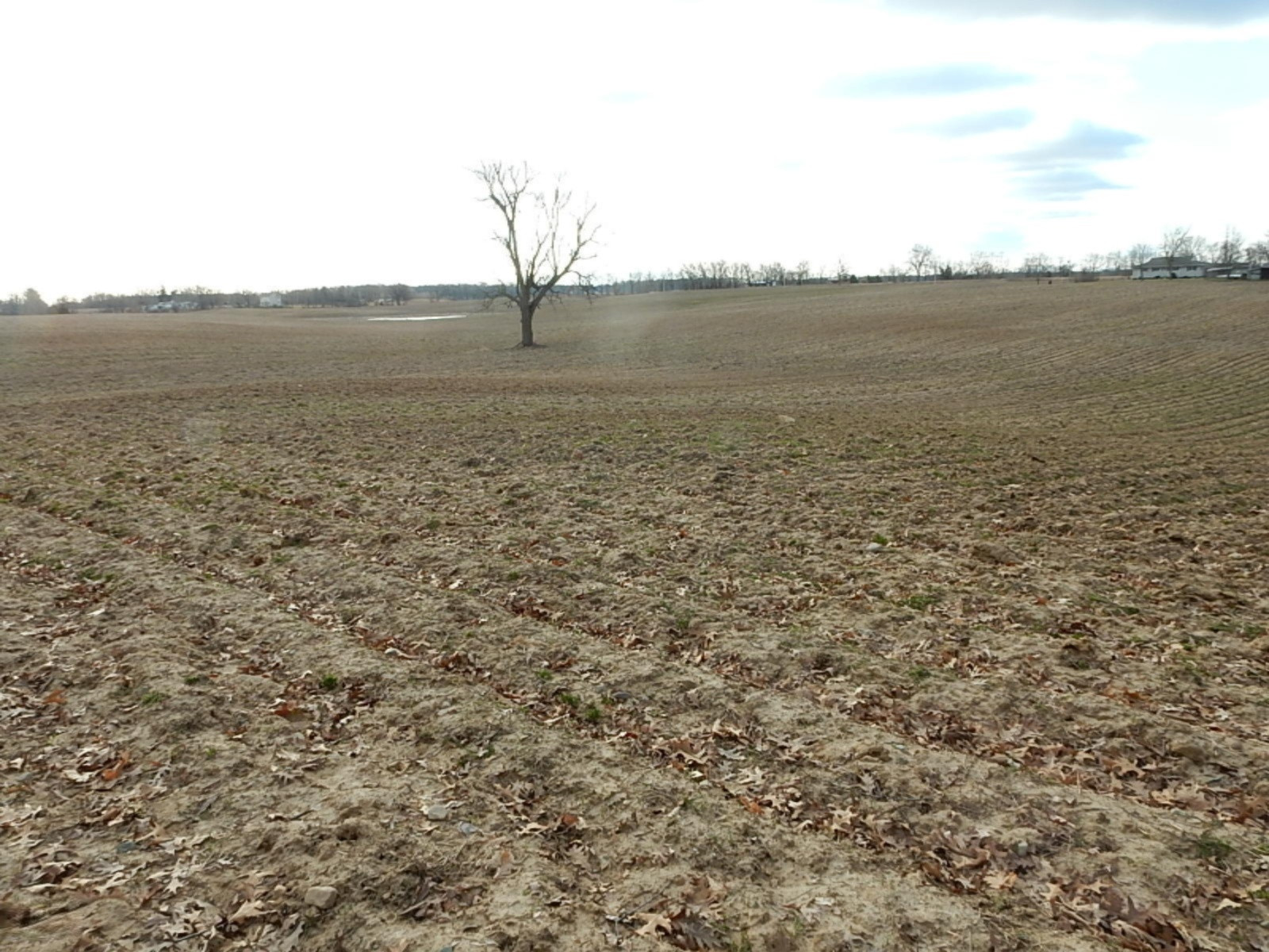 10023 Towner Road Portland, MI 48875 - Photo 9 of 18 DSCN3974