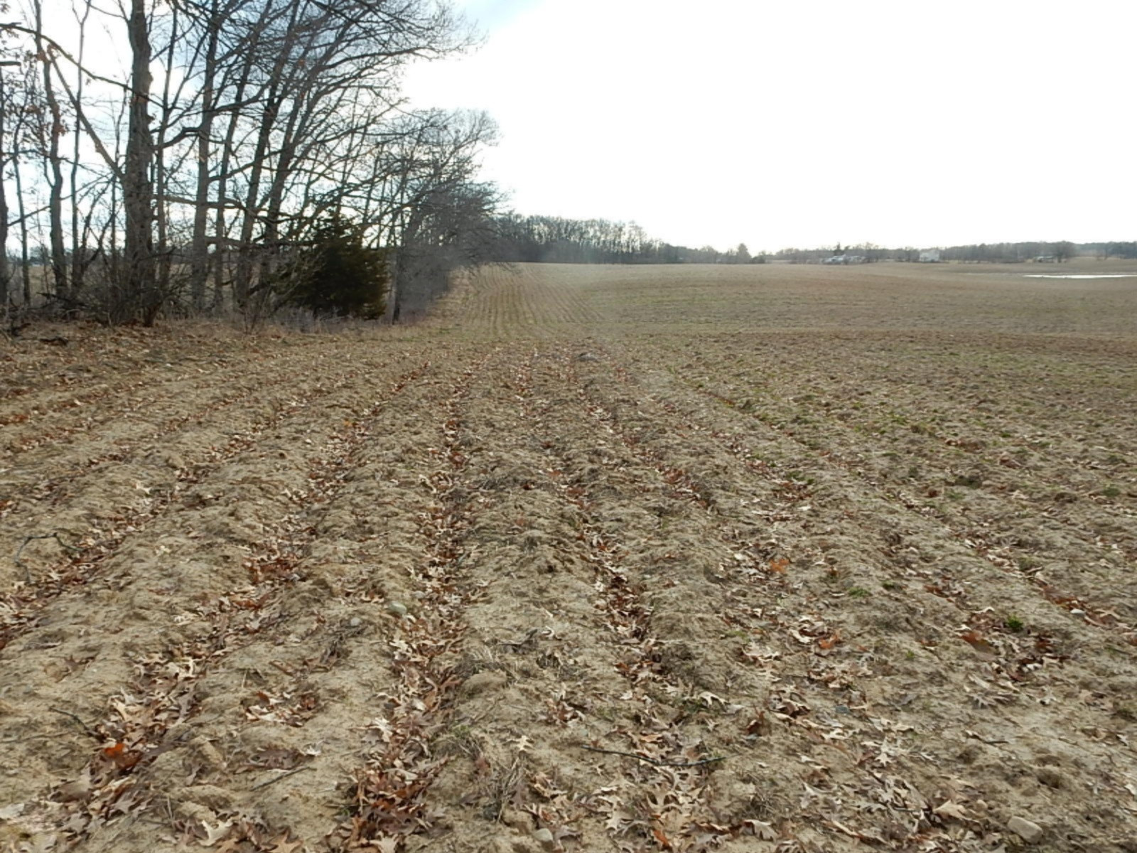 10023 Towner Road Portland, MI 48875 - Photo 10 of 18 DSCN3975