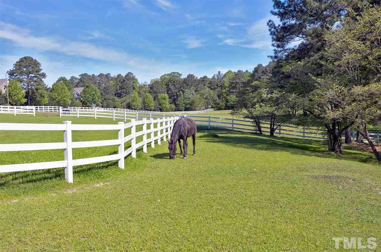 7725 Blaney Franks Road Apex, NC 27539 - Photo 23 of 30 Gallery Image 23