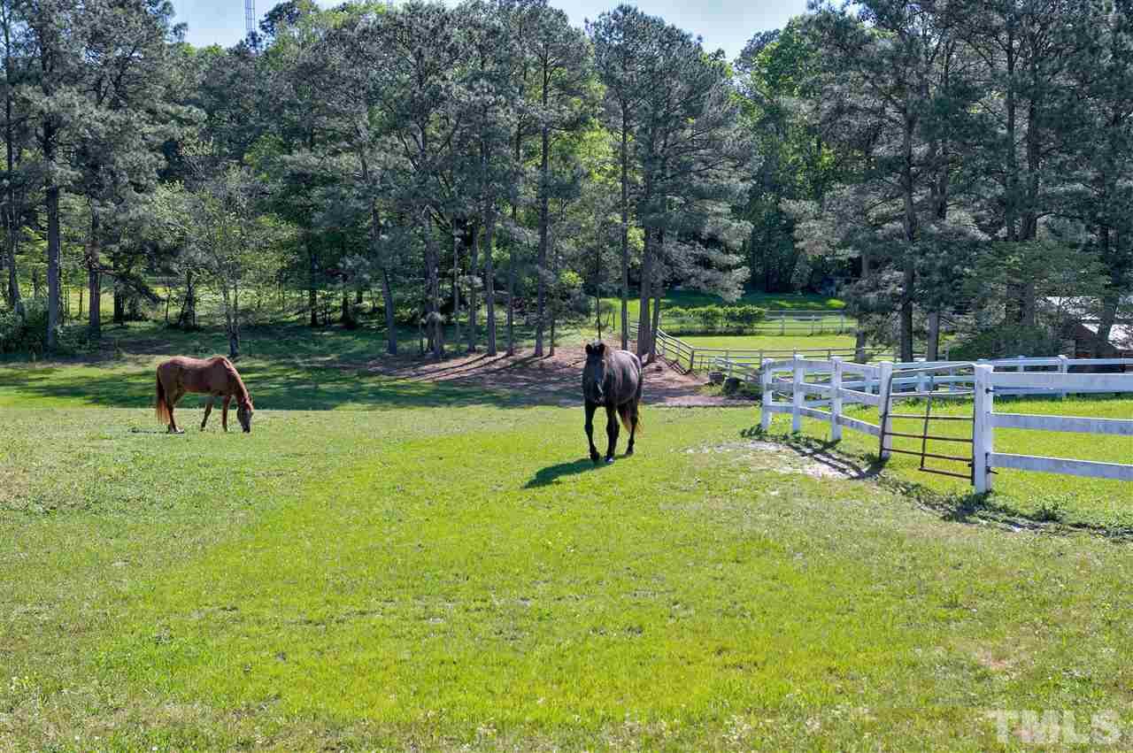 7725 Blaney Franks Road Apex, NC 27539 - Photo 4 of 30 Gallery Image 4