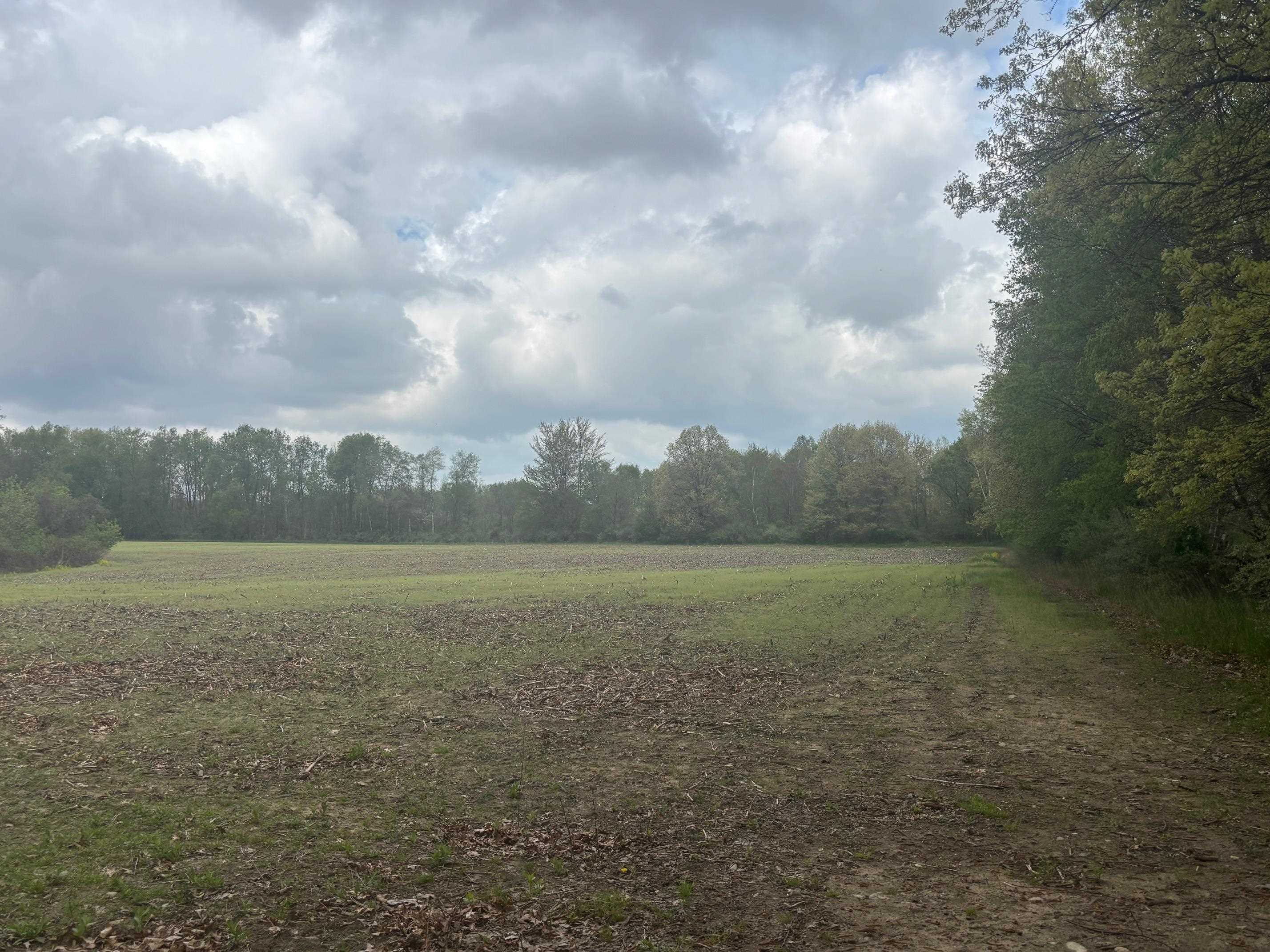 Tbd Neff Road Edmore, MI 48829 - Photo 7 of 12