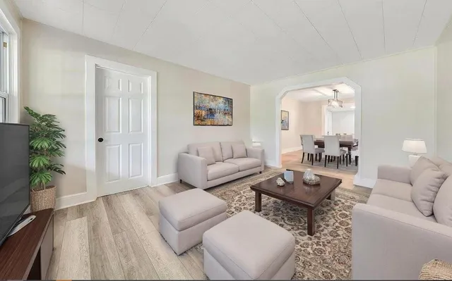 a living room with furniture and a potted plant