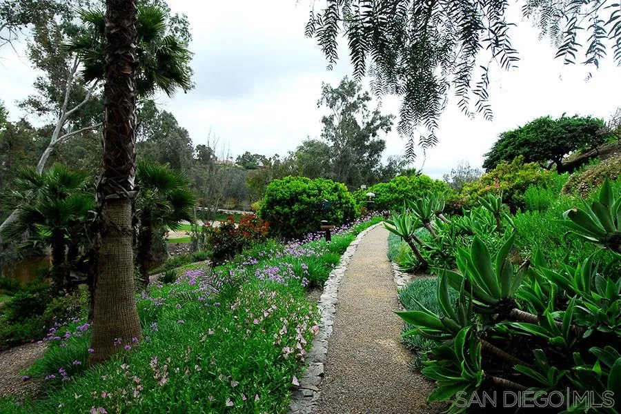 6515 Poco Lago Rancho Santa Fe, CA 92091 - Photo 20 of 25 a view of a pathway of a garden