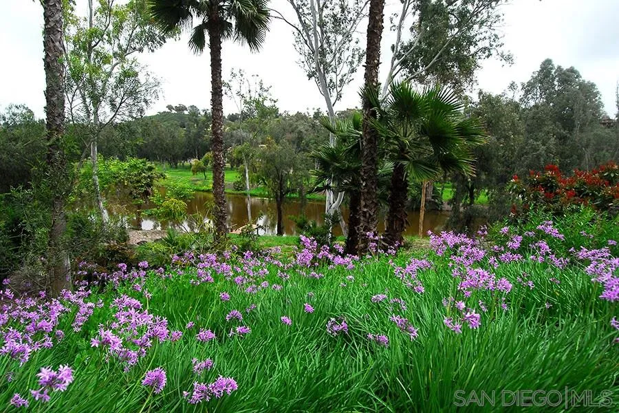 6515 Poco Lago Rancho Santa Fe, CA 92091 - Photo 21 of 25 a view of a flower in a garden