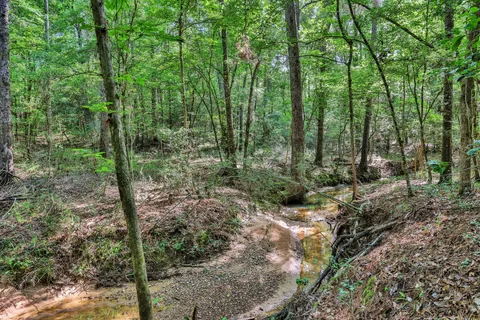 $235,000 | 275 Fairview East, Livingston, TX 77351