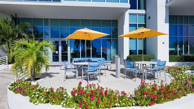 a view of a park with a tree