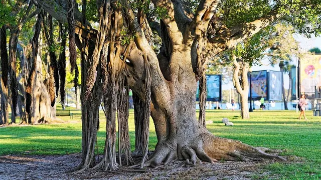 $2,900,000 | 1155 North Gulfstream Avenue, Unit 1704, Sarasota, FL 34236