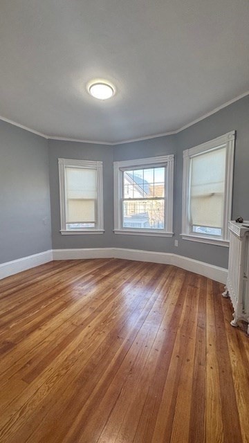 44 Walnut Street Everett, MA 02149 - Photo 31 of 41