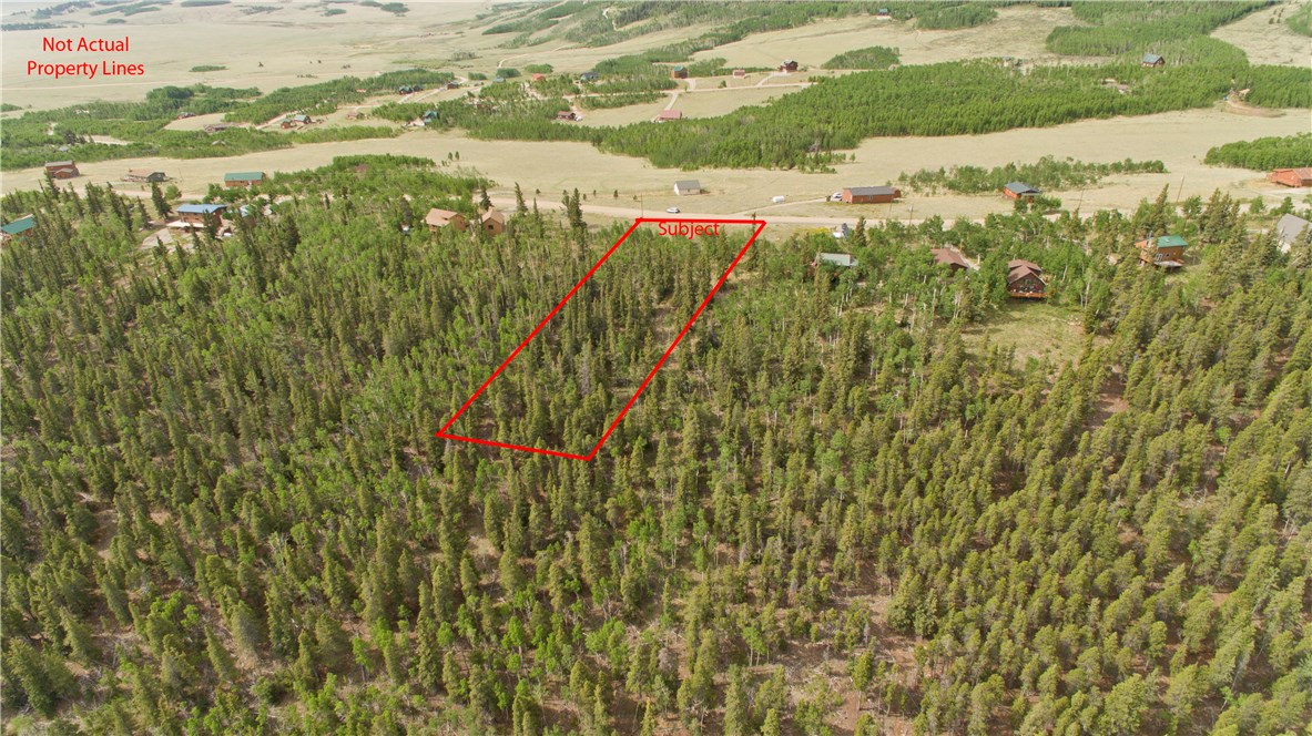 479 Sheep Ridge Road Fairplay, CO 80440 - Photo 3 of 8 Gallery Image 3
