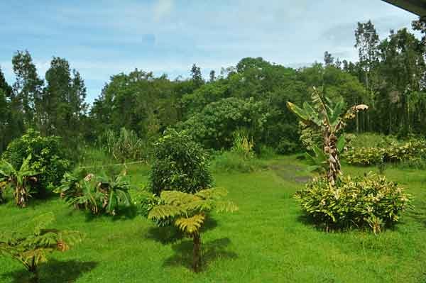 15-115 S Road Pahoa, HI 96778 - Photo 11 of 25 Gallery Image 11