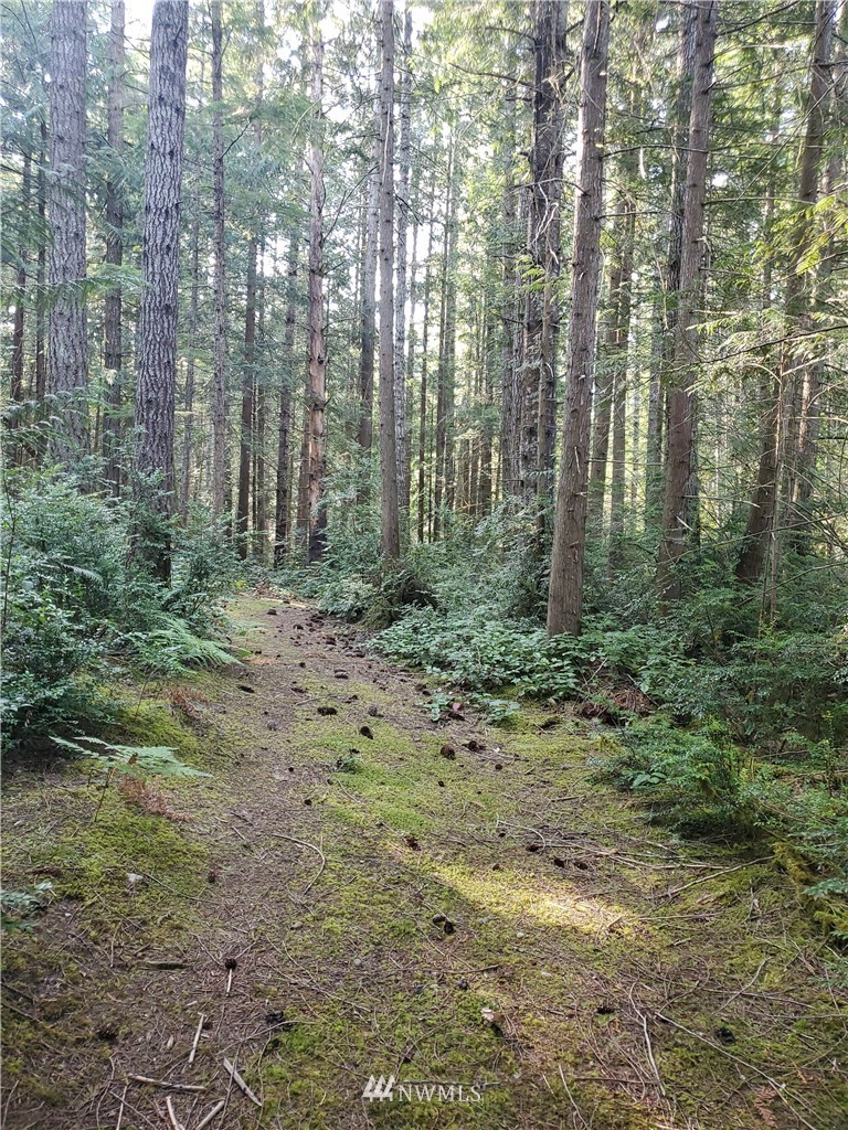 6200 Northwest Gross Road Bremerton, WA 98312 - Photo 12 of 14 Gallery Image 12