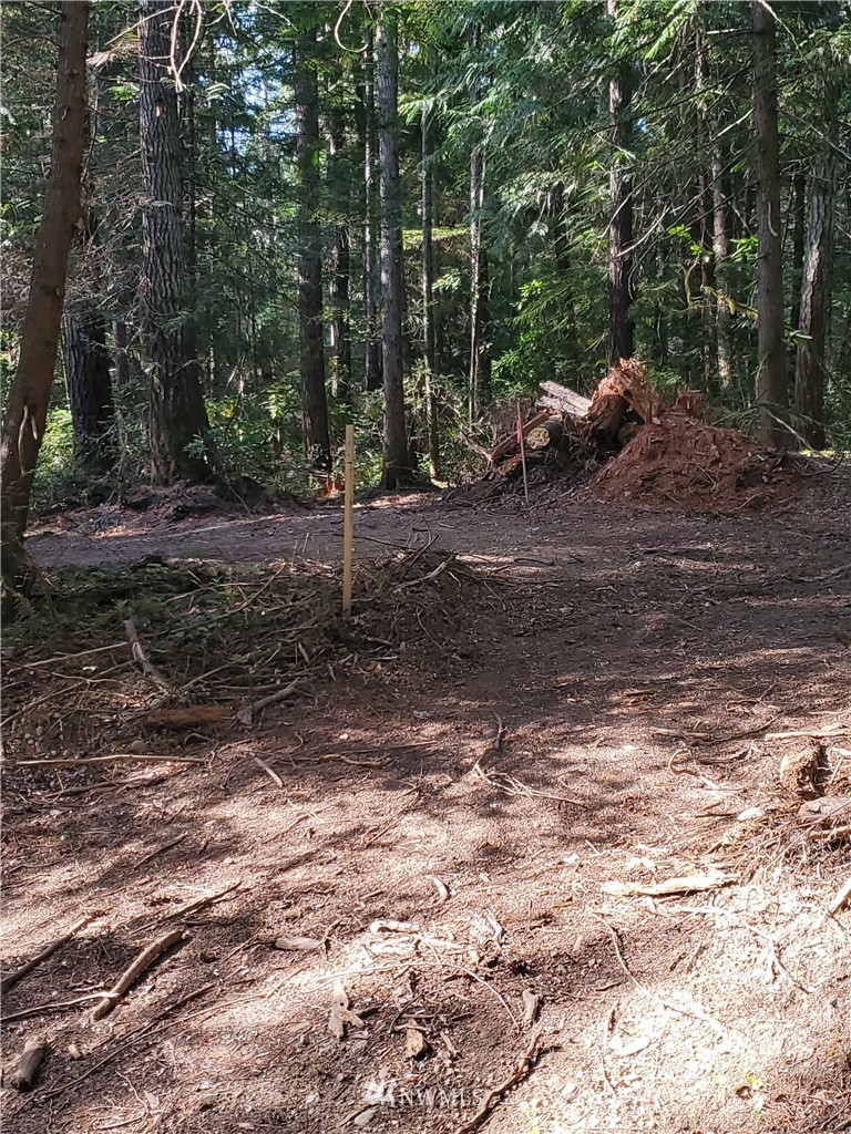 6200 Northwest Gross Road Bremerton, WA 98312 - Photo 13 of 14 Gallery Image 13