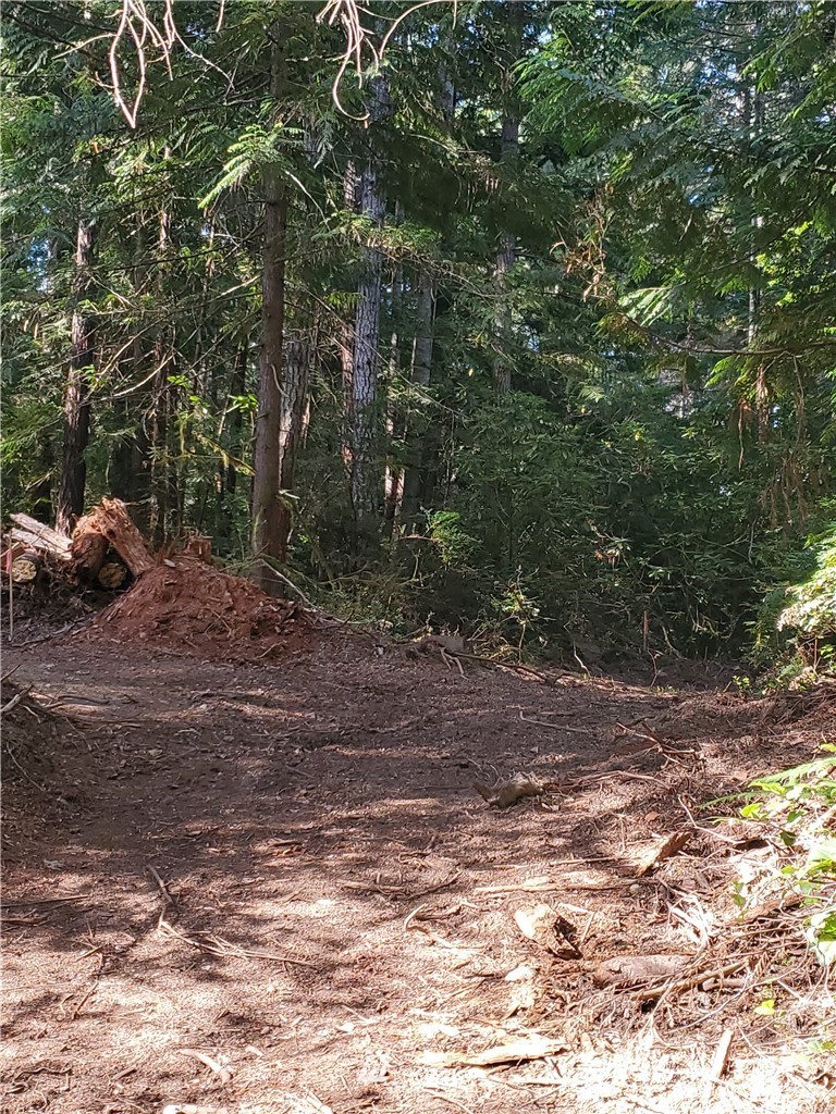 6200 Northwest Gross Road Bremerton, WA 98312 - Photo 14 of 14 Gallery Image 14