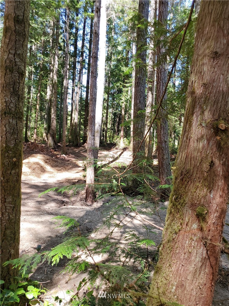 6200 Northwest Gross Road Bremerton, WA 98312 - Photo 7 of 14 Gallery Image 7