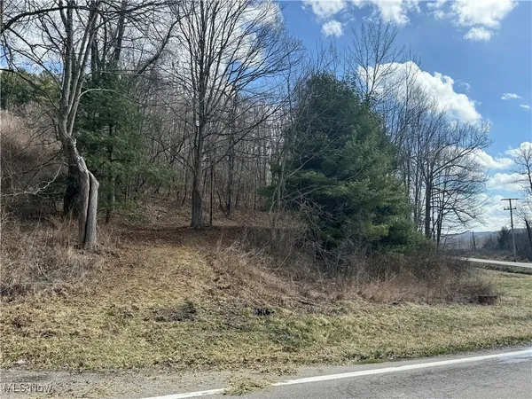 $22,000 | 331 Holloway Rd/state Rt, Flushing, OH 43977