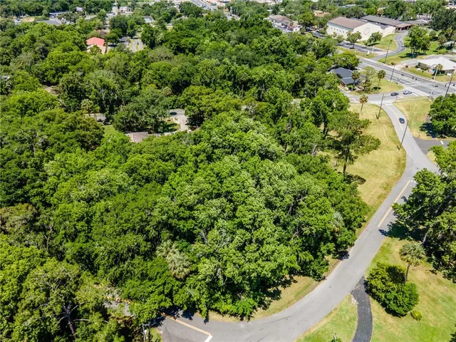 a view of a garden with a plant
