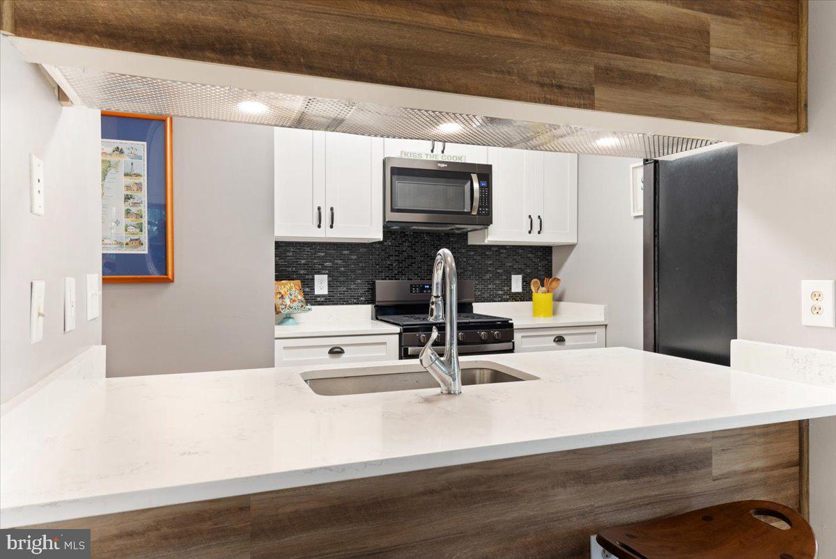 20963 Timber Ridge Terrace, Unit 204 Ashburn, VA 20147 - Photo 13 of 30 Gallery Image 13