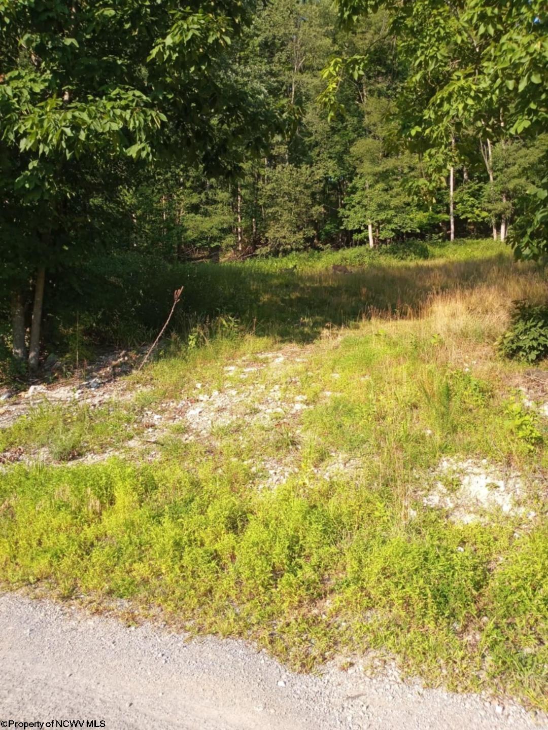 1024 Mt Lebanon Road Buckhannon, WV 26201 - Photo 1 of 2 Gallery Image 1