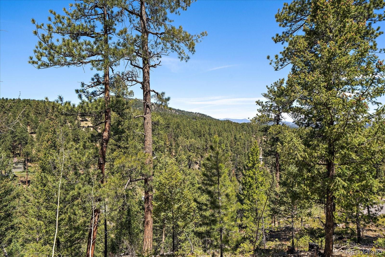 6855 Lynx Lair Road Evergreen, CO 80439 - Photo 16 of 21 a view of a tree with a yard