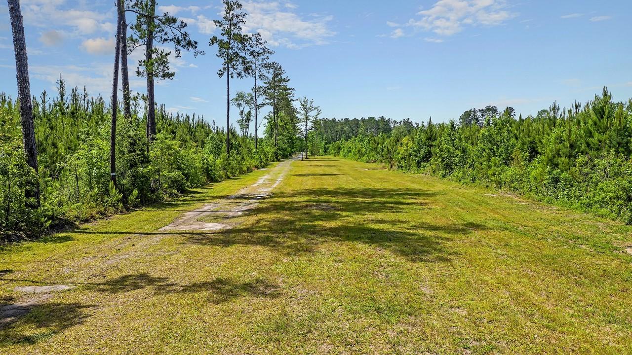 0 Copperhead Road Ridgeville, SC 29472 - Photo 2 of 24 Slide20