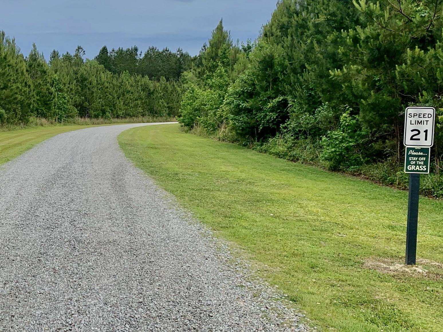 0 Copperhead Road Ridgeville, SC 29472 - Photo 24 of 24 IMG-0432