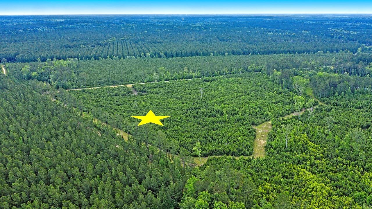 0 Copperhead Road Ridgeville, SC 29472 - Photo 4 of 24 Slide9
