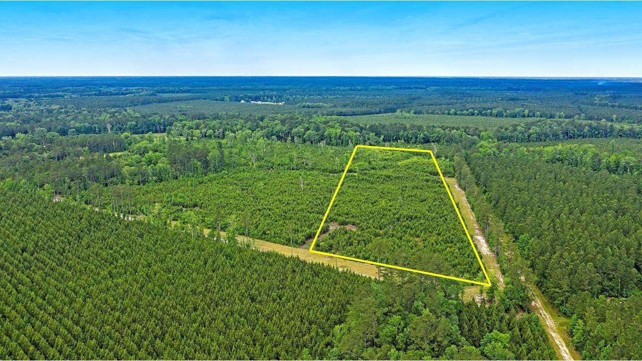 0 Copperhead Road Ridgeville, SC 29472 - Photo 6 of 24 Slide3