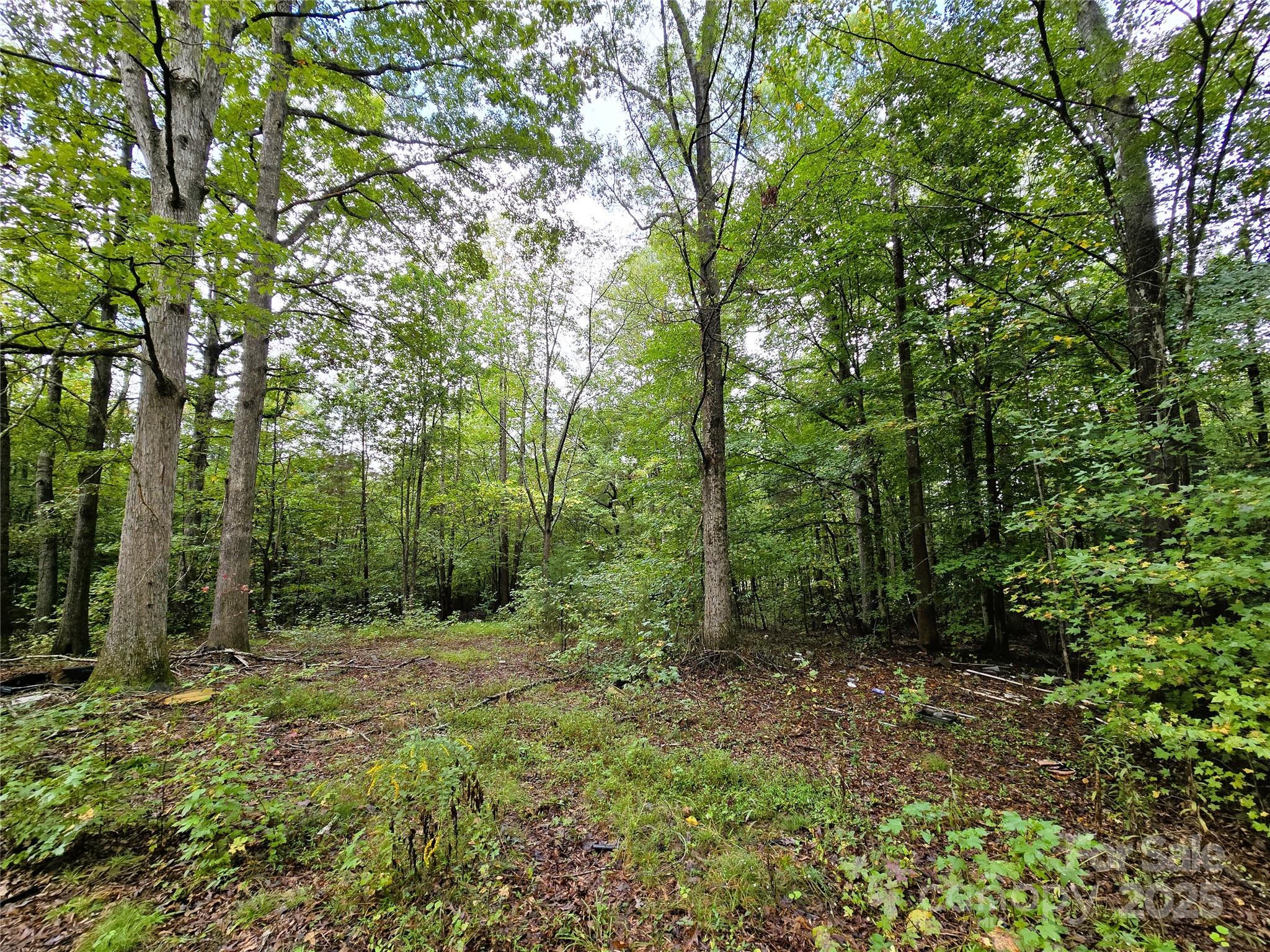 0 Southmont Road Iron Station, NC 28080 - Photo 14 of 19 a view of outdoor space and green space
