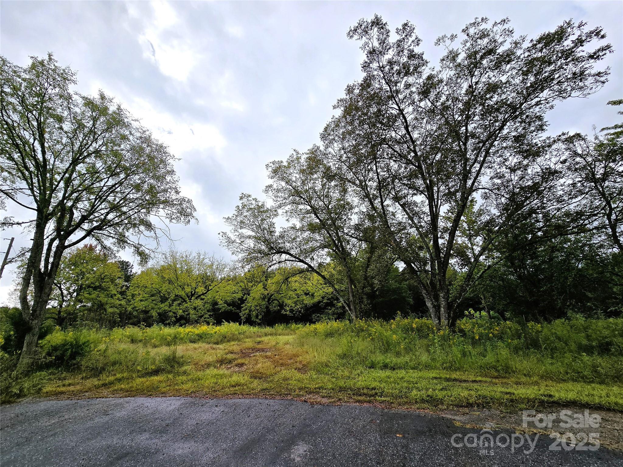 0 Southmont Road Iron Station, NC 28080 - Photo 3 of 19 a view of outdoor space with trees all around