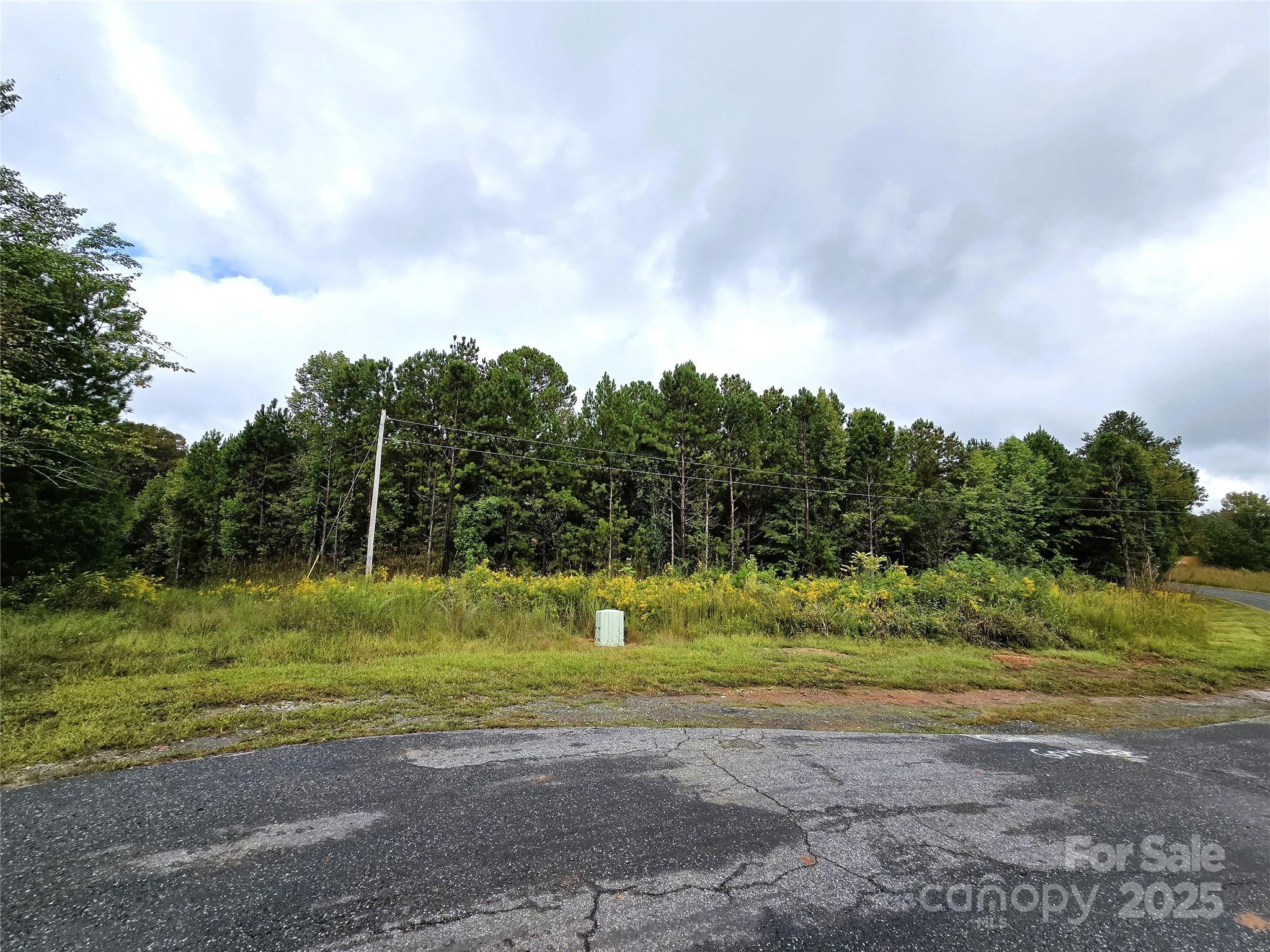 0 Southmont Road Iron Station, NC 28080 - Photo 4 of 19 a view of a golf course with a big yard