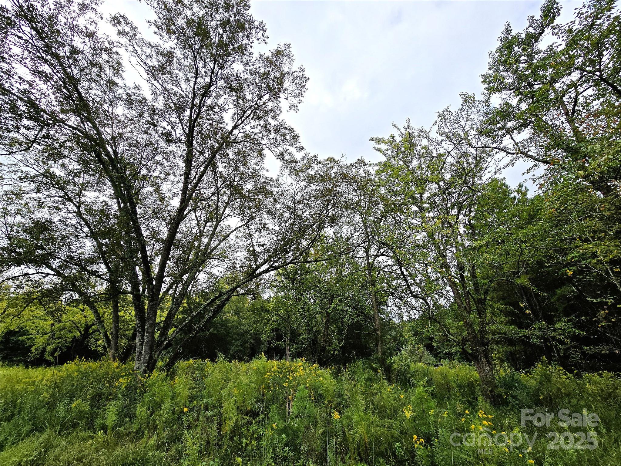0 Southmont Road Iron Station, NC 28080 - Photo 5 of 19 a view of backyard with green space