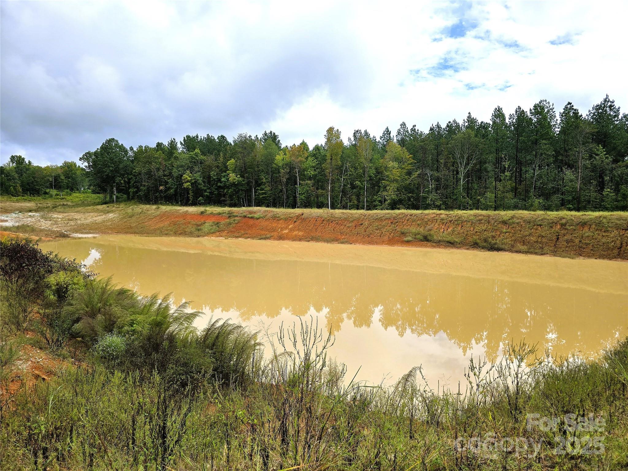 0 Southmont Road Iron Station, NC 28080 - Photo 7 of 19 a view of a swimming pool and trees in the background