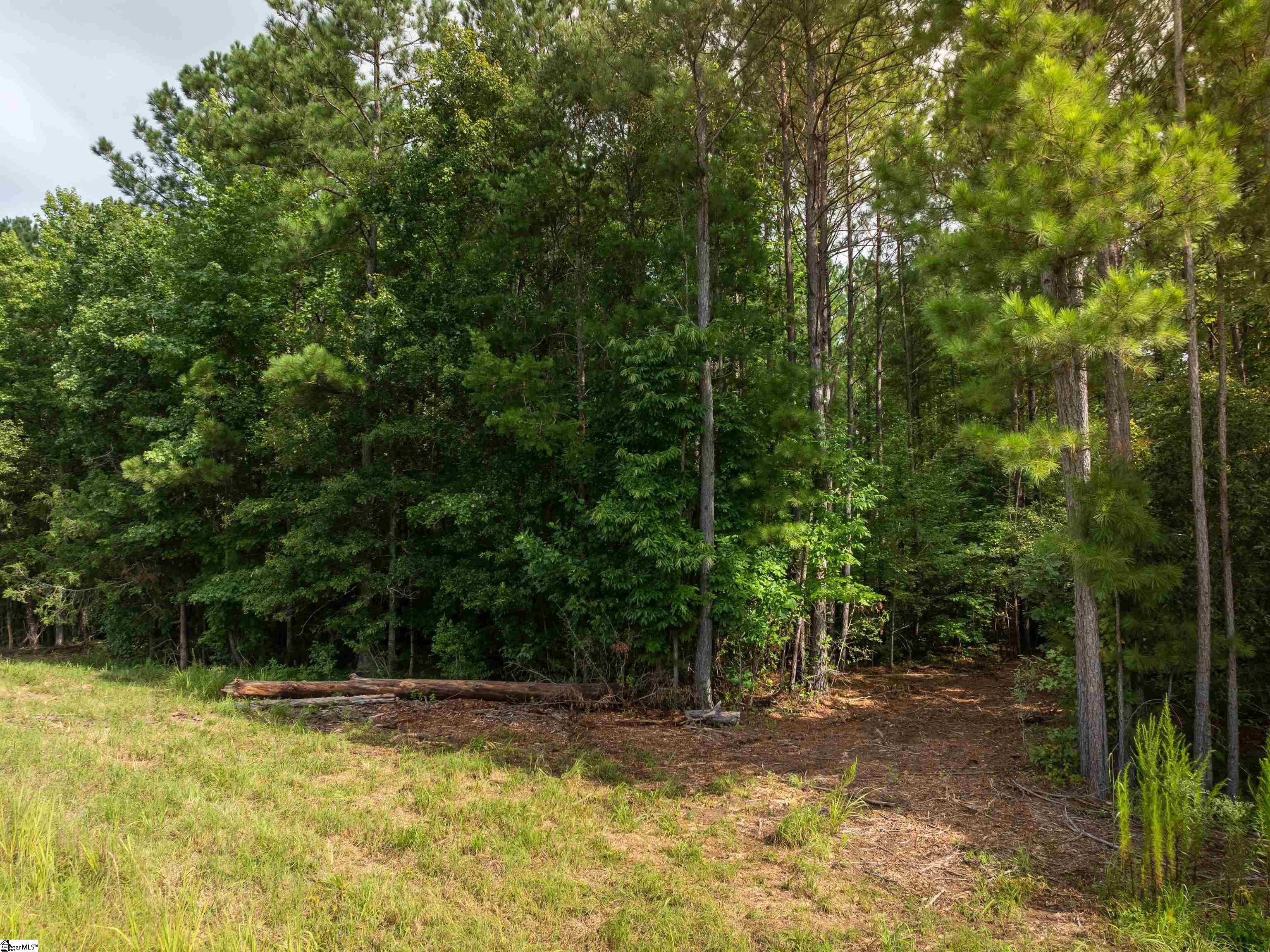 1 Pinedale Road Liberty, SC 29657 - Photo 2 of 8
