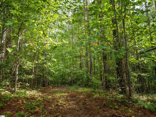 $224,999 | 1 Pinedale Road, Liberty, SC 29657