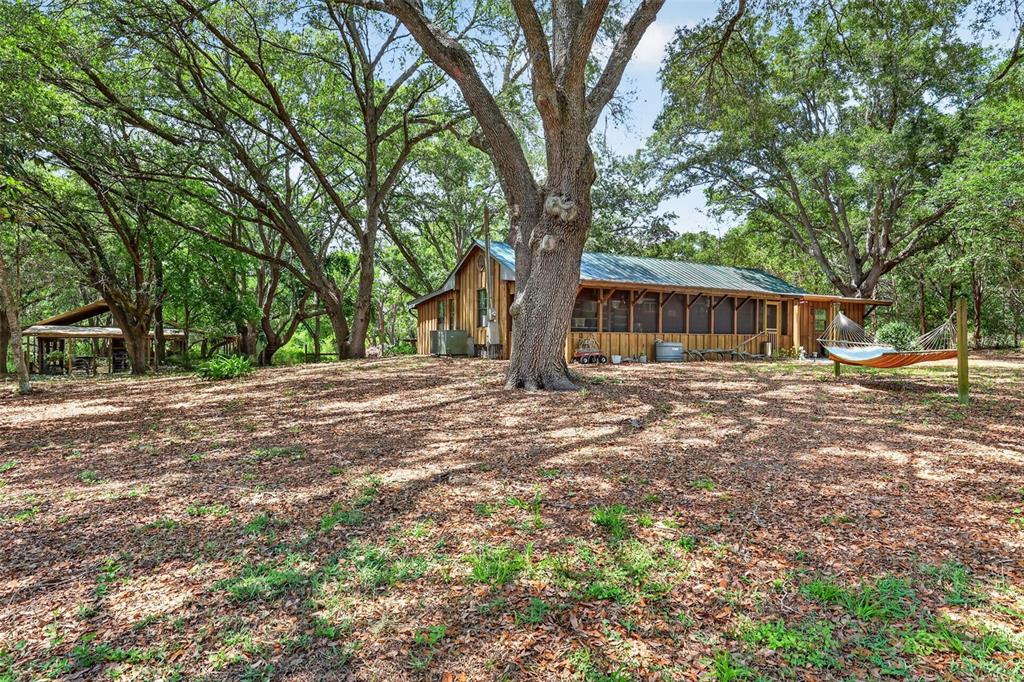 40635 Thomas Boat Landing Road Umatilla, FL 32784 - Photo 4 of 44