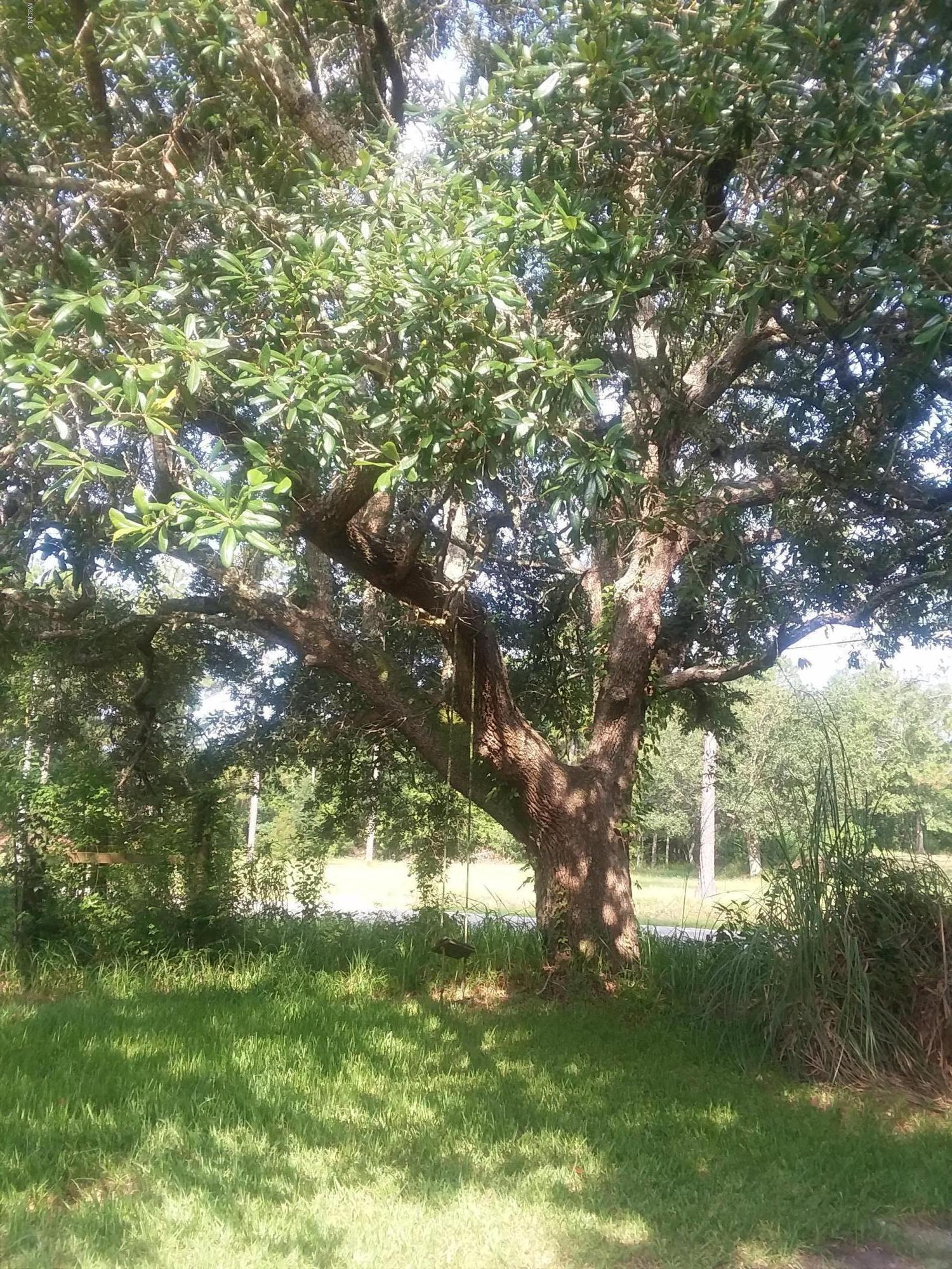 9536 Edwin Ladner Road Pass Christian, MS 39571 - Photo 11 of 12 20180722_093040