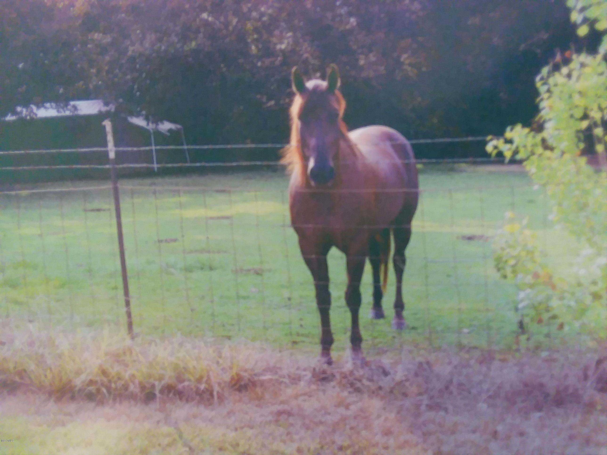 9536 Edwin Ladner Road Pass Christian, MS 39571 - Photo 2 of 12 20180802_124934