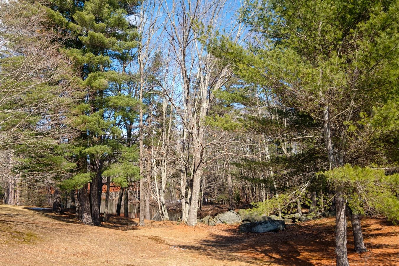 2 Sagamore Lane Rochester, NH 03867 - Photo 4 of 34