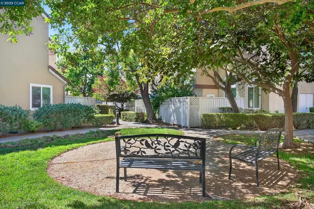 a view of a chair and table in the garden