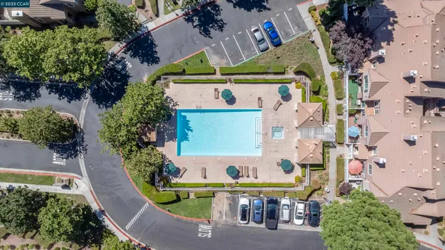 an aerial view of a house with swimming pool and large trees