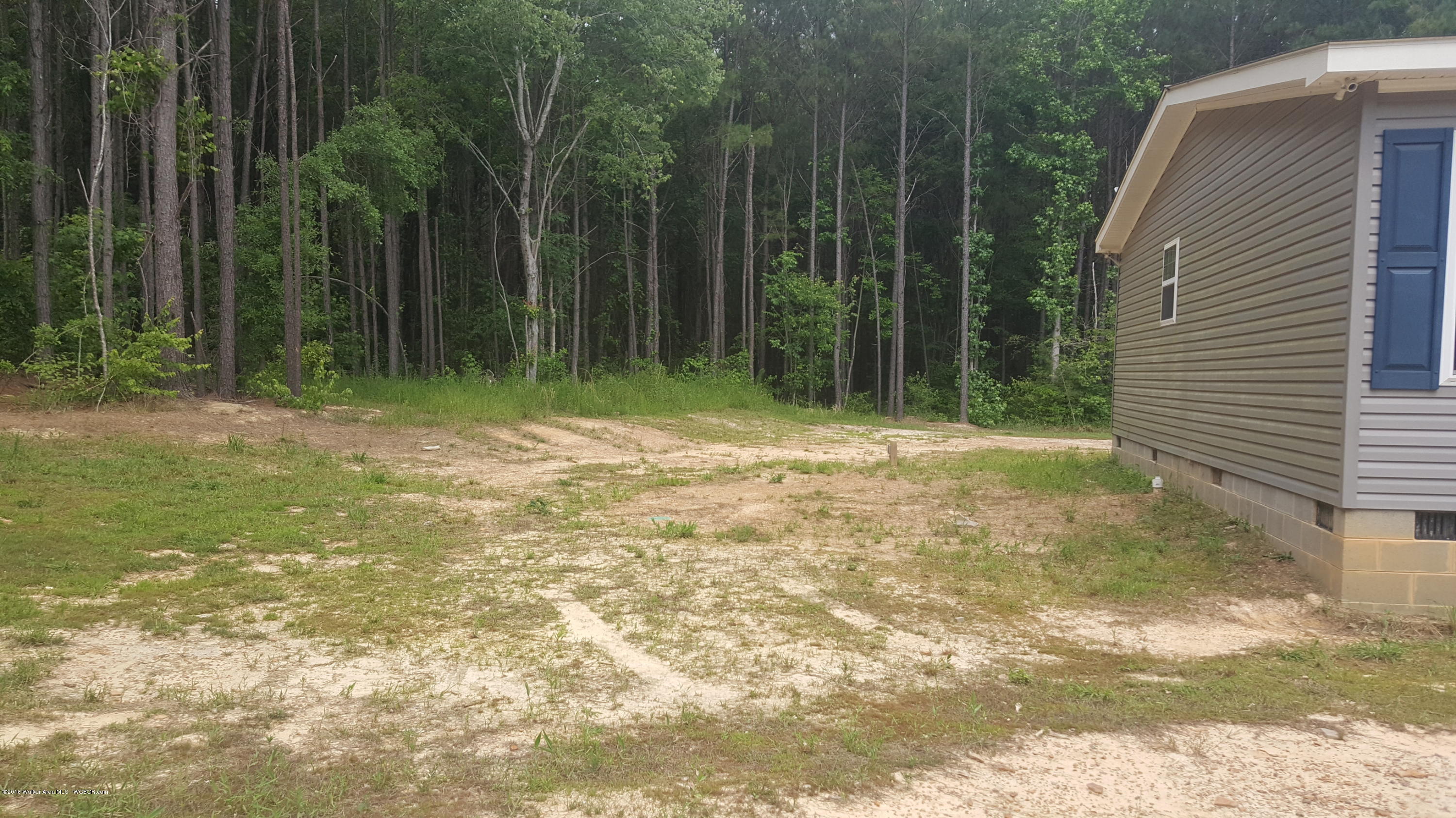 2160 Duncan Road Nauvoo, AL 35578 - Photo 3 of 50 Gallery Image 3
