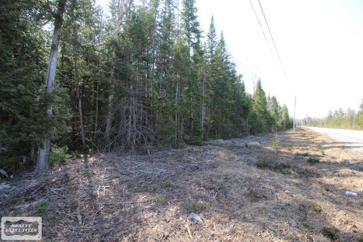 0 East Grand Lake Road Presque Isle, MI 49777 - Photo 3 of 6