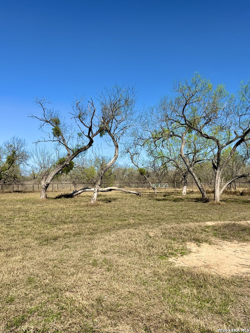 115 4th Street Natalia, TX 78059 - Photo 37 of 48